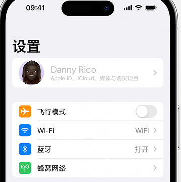 山阳appleID维修服务iPhone设置中Apple ID显示为灰色无法使用 