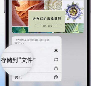 山阳apple维修中心分享iPhone文件应用中存储和找到下载文件