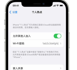 山阳apple服务站点分享iPhone上个人热点丢失了怎么办 