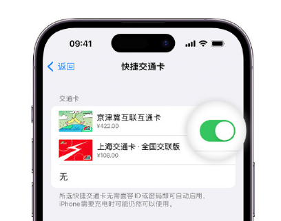 山阳apple维修点分享iPhone上更换Apple Pay快捷交通卡手绘卡面 