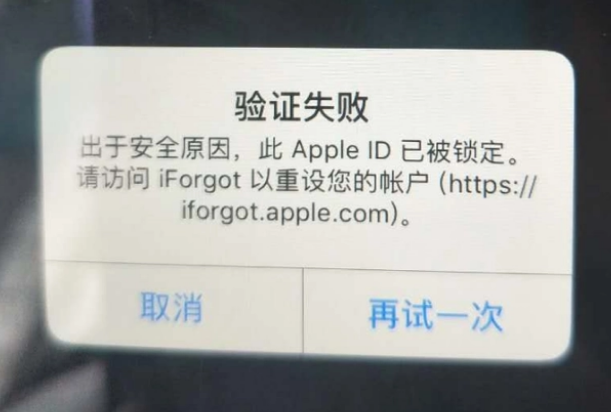 山阳iPhone维修分享iPhone上正常登录或使用AppleID怎么办 