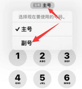 山阳苹果14维修店分享iPhone 14 Pro Max使用副卡打电话的方法 