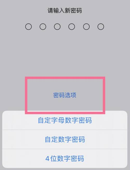 山阳苹果14维修分享iPhone 14plus设置密码的方法 