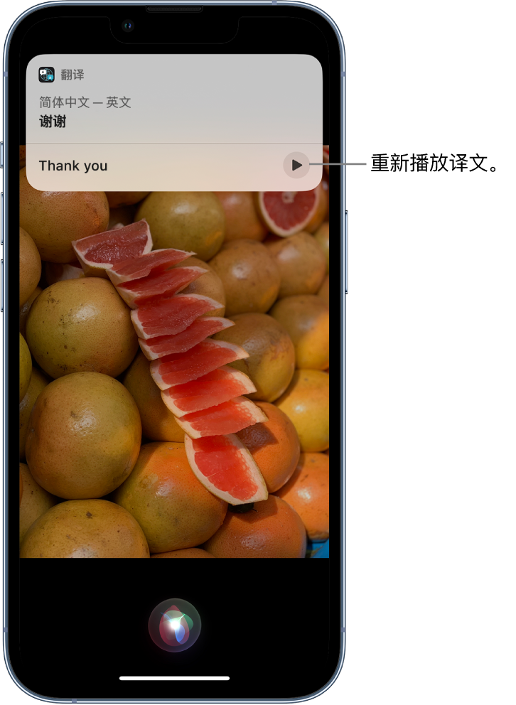 山阳苹果14维修分享 iPhone 14 机型中使用 Siri：了解 Siri 能帮你做什么 