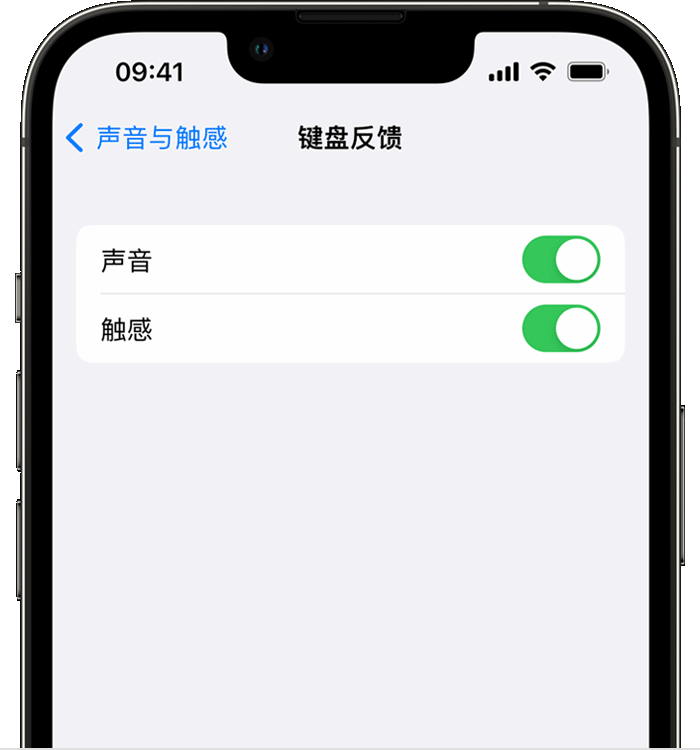 山阳苹果14维修分享iPhone 14 系列机型如何开启键盘声音或触感反馈 
