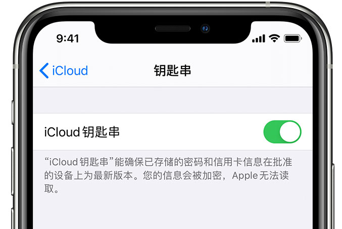 山阳苹果手机维修分享在 iPhone 上开启 iCloud 钥匙串之后会储存哪些信息 