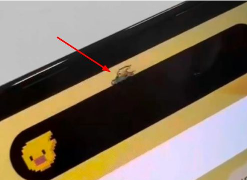 山阳苹果14维修分享iPhone 14 Pro Max灵动岛怎么养宠物 