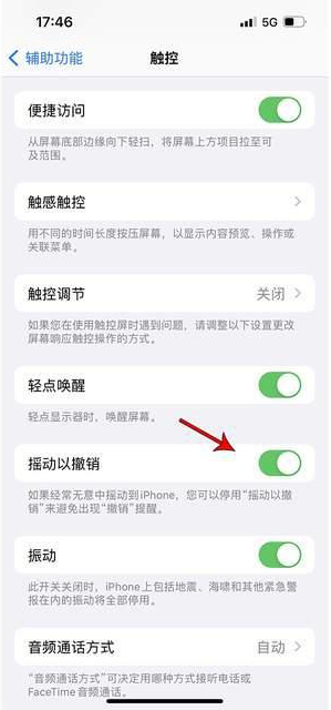 山阳苹果手机维修分享iPhone手机如何设置摇一摇删除文字 