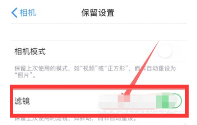 山阳苹果13维修分享iPhone13拍照有绿点是怎么回事 