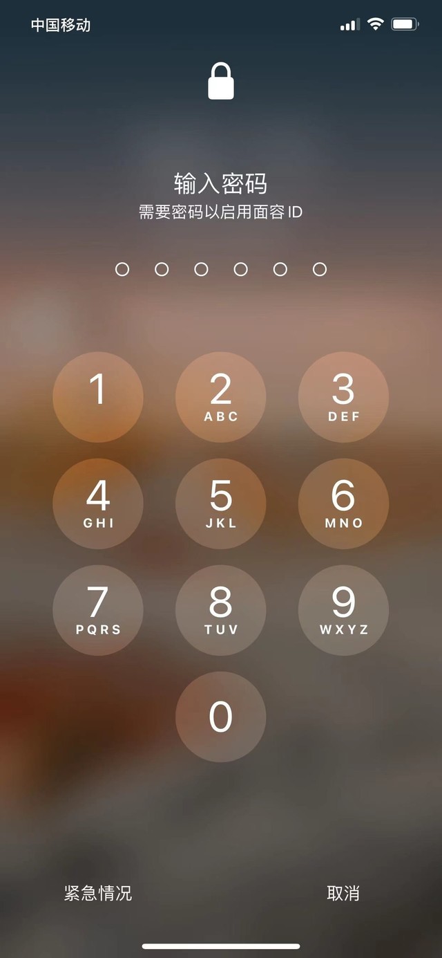 山阳苹果13维修分享iPhone 13加强锁屏功能有什么用 