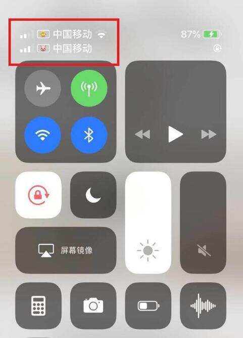 山阳苹果手机维修分享为 iPhone 12 双卡设置标签 