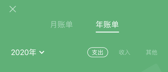 山阳苹果手机维修分享如何在 iPhone 上查看支付宝和微信年支出账单 