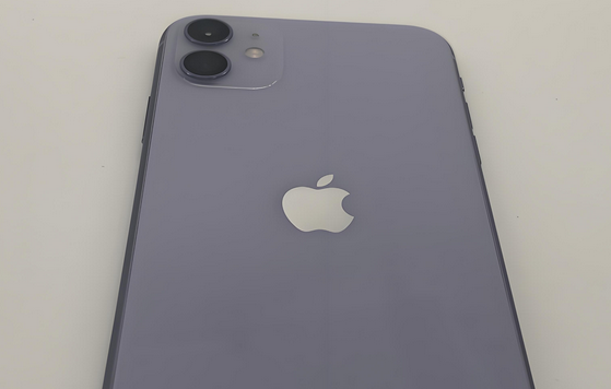 山阳苹果11系统维修分享iPhone11手机系统崩溃无法开机如何解决